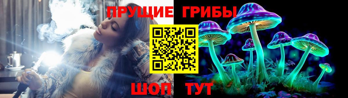 наркота  Галлюциногенные грибы GOLDEN TEACHER  Галлюциногенные грибы Magic Shrooms  Вход с VPN  Дедовск 
